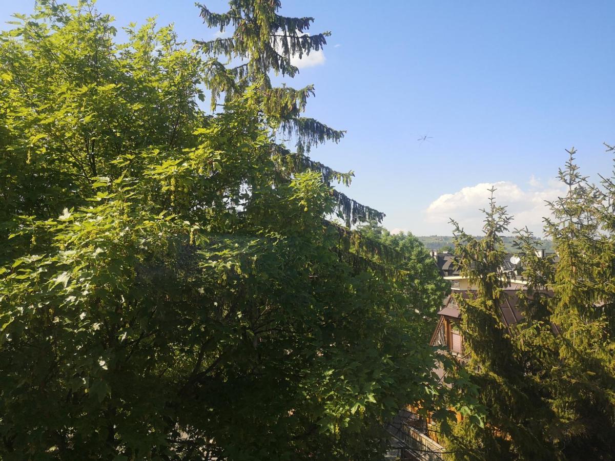 Tatrzańskie Turnie Krupówki Zakopane